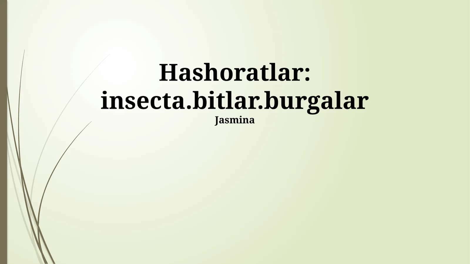 Hashoratlar: insecta.bitlar.burgalar