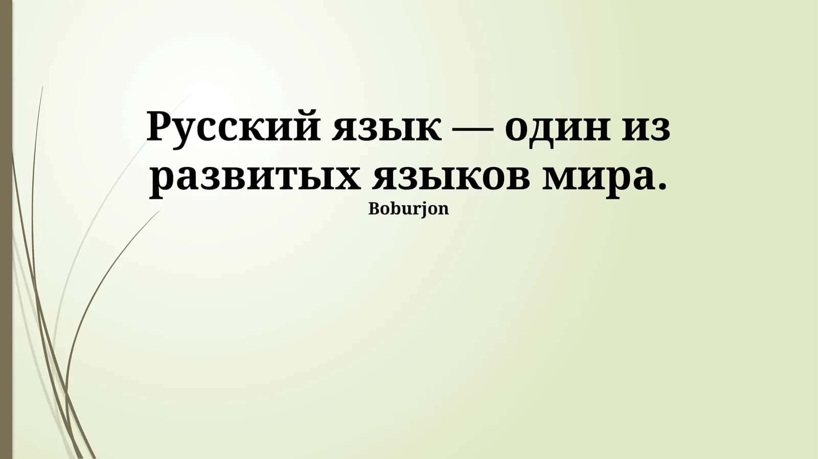 Современный русский язык: богатство и развитие