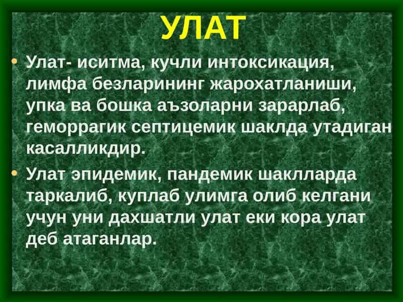 O'lat