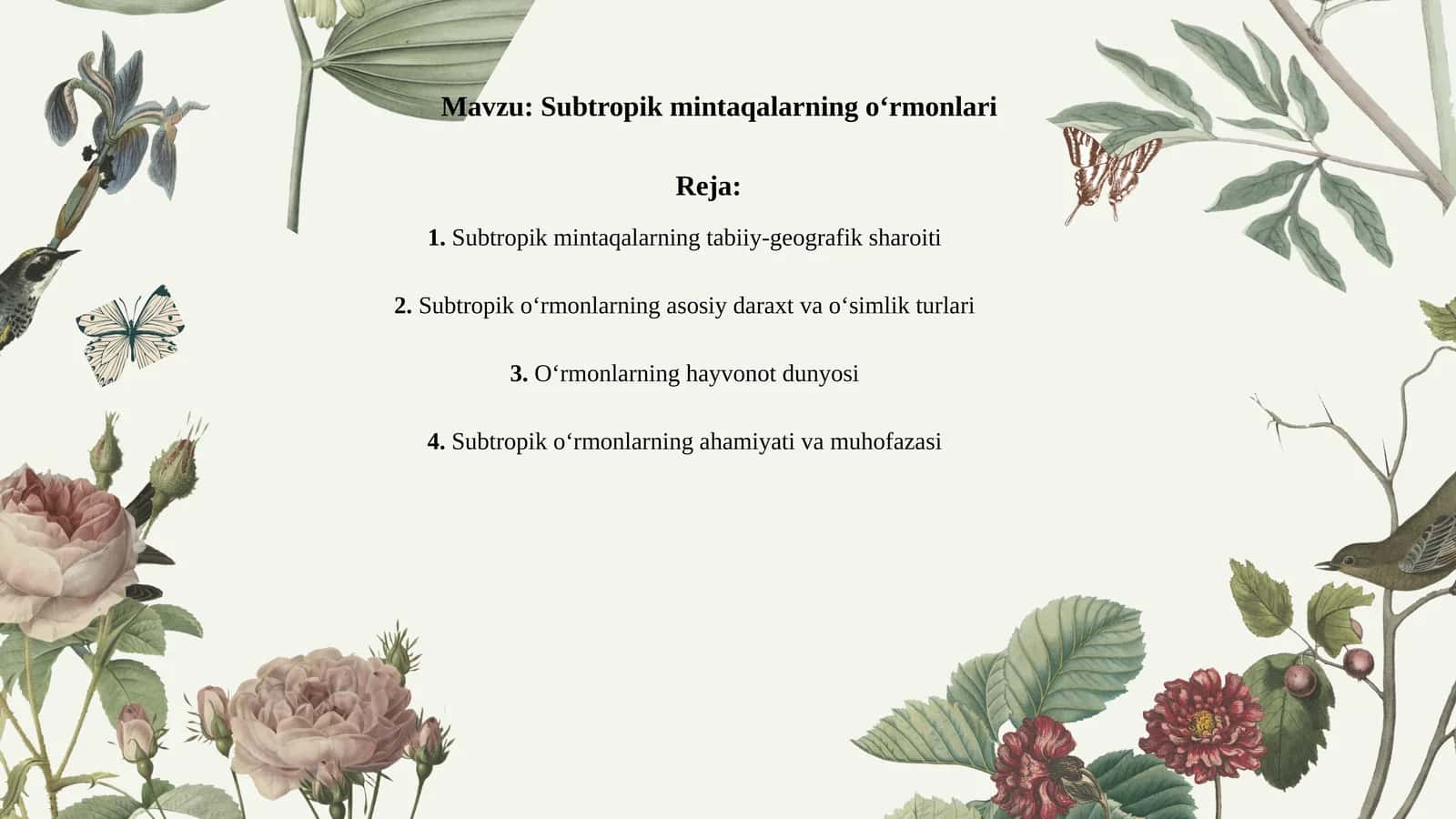 Subtropik mintaqalarning o‘rmonlari