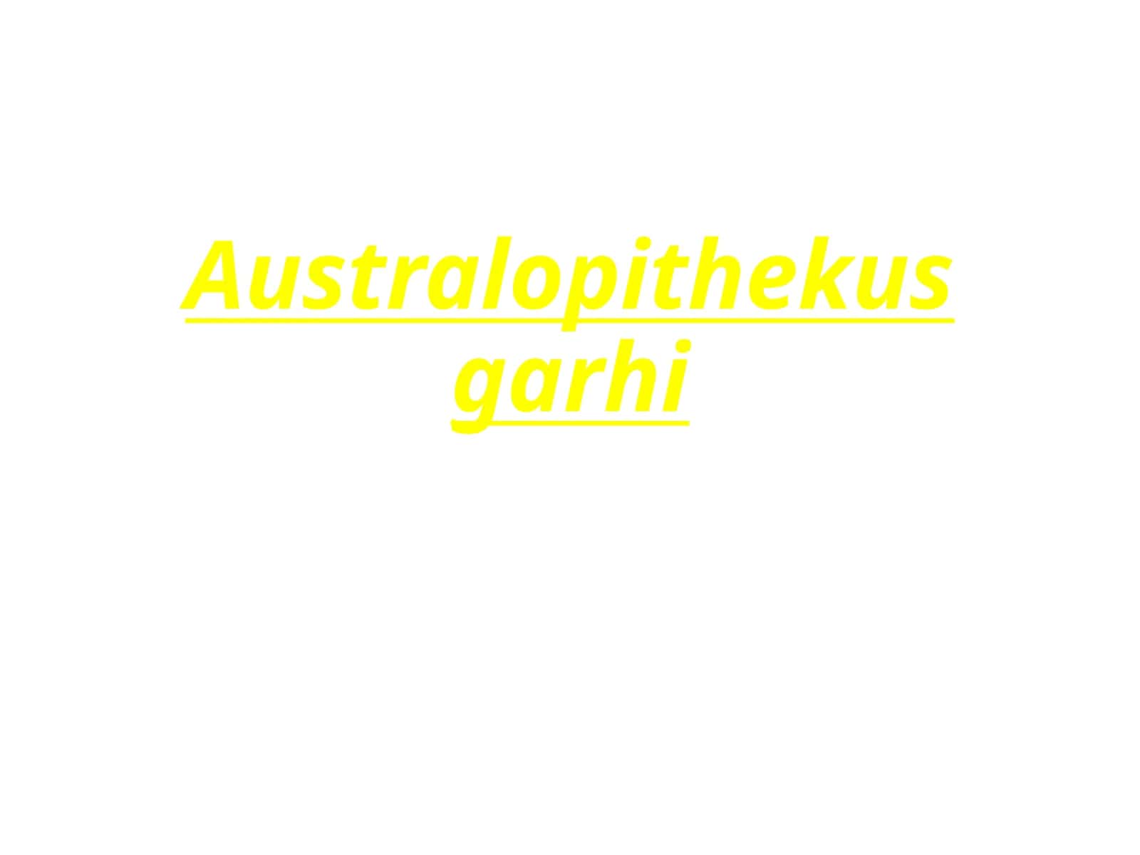 Australopithekusgarhi