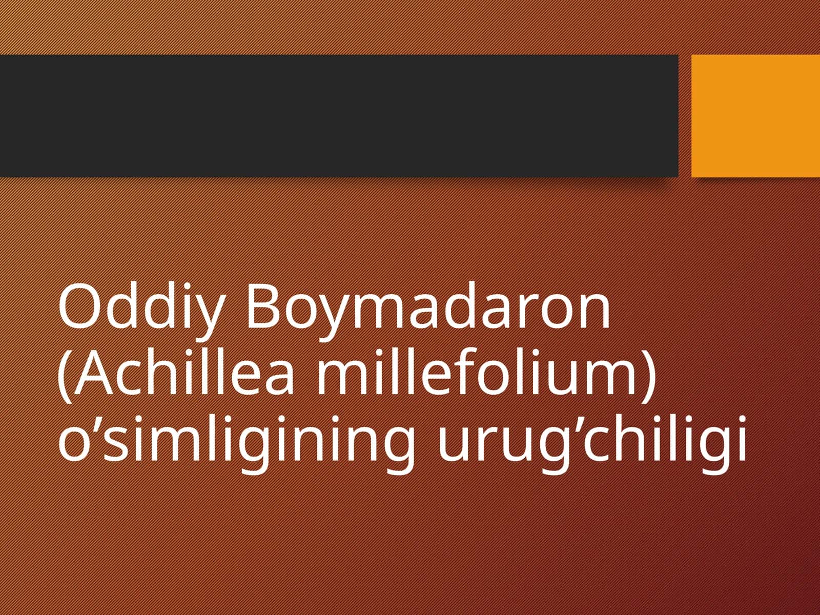 Oddiy Boymadaron (Achillea millefolium)