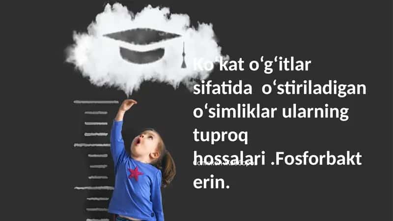 Fosforbakterin