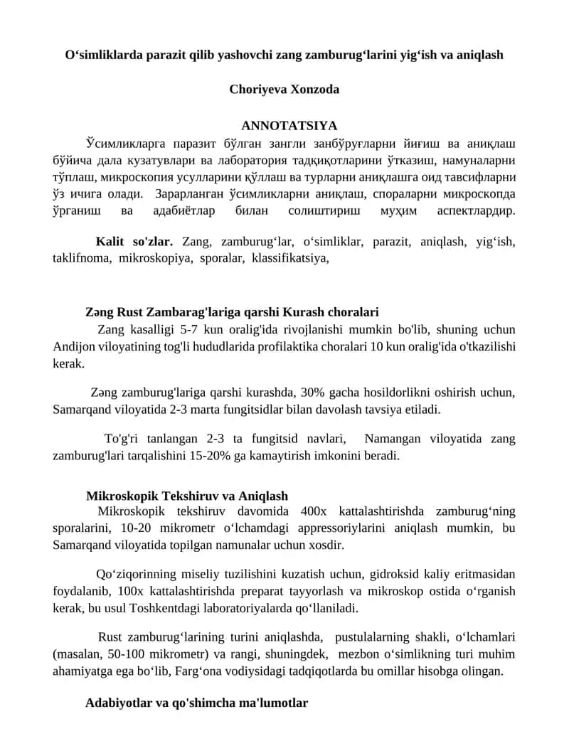 Zang Zamburugʻlari