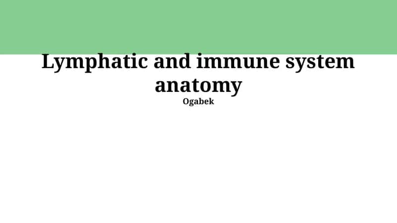 Lymphatic and immune system anatomy