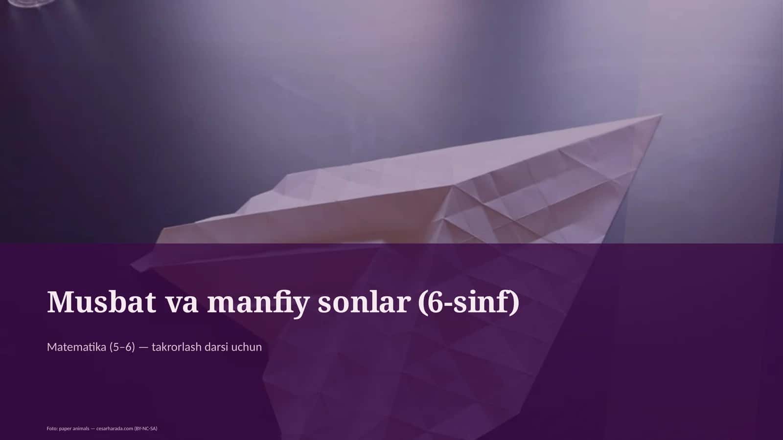 Musbat va manfiy sonlar (6-sinf)