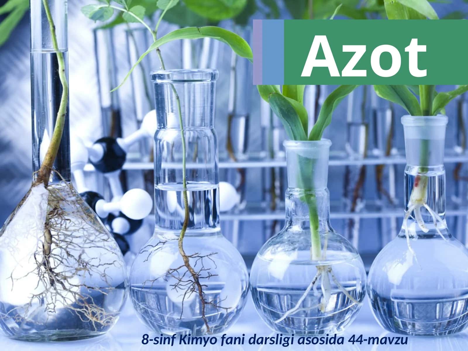 Azot