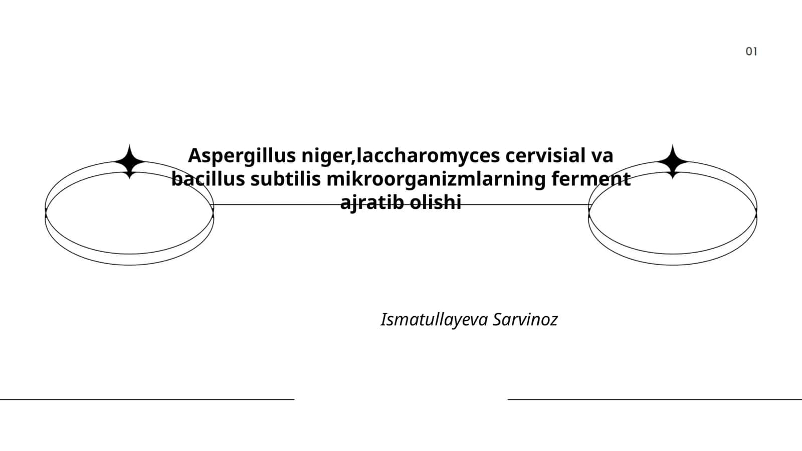 Aspergillus niger, Saccharomyces cervisial va Bacillus subtilis mikroorganizmlarning ferment ajratib olishi