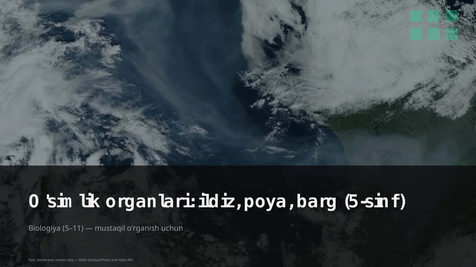 O'simlik organlari: ildiz, poya, barg (5-sinf)