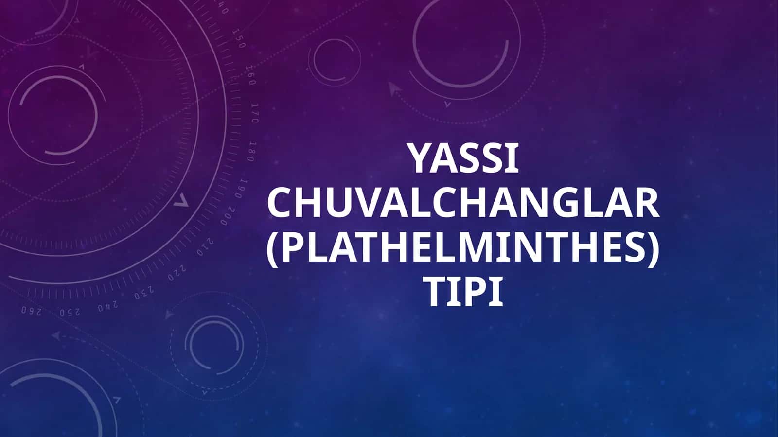 Yassi chuvalchanglar (Plathelminthes) tipi