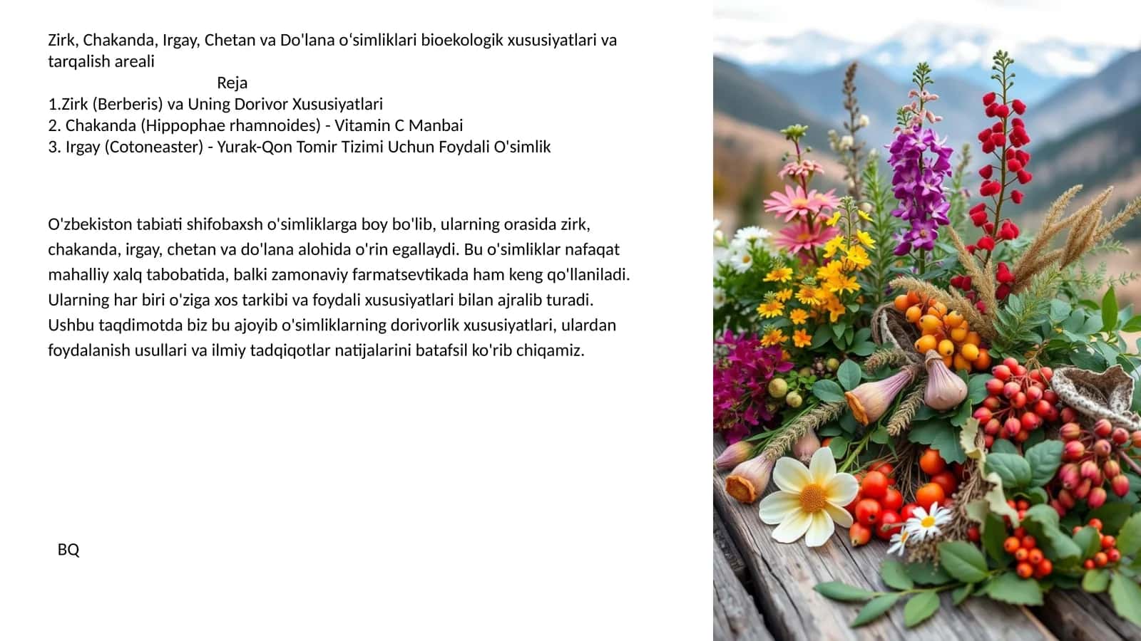 Zirk, Chakanda, Irgay, Chetan va Do'lana o‘simliklari bioekologik xususiyatlari va tarqalish areali