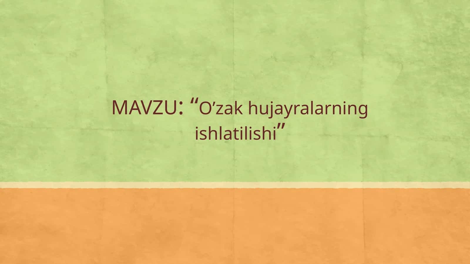 O‘zak hujayralar