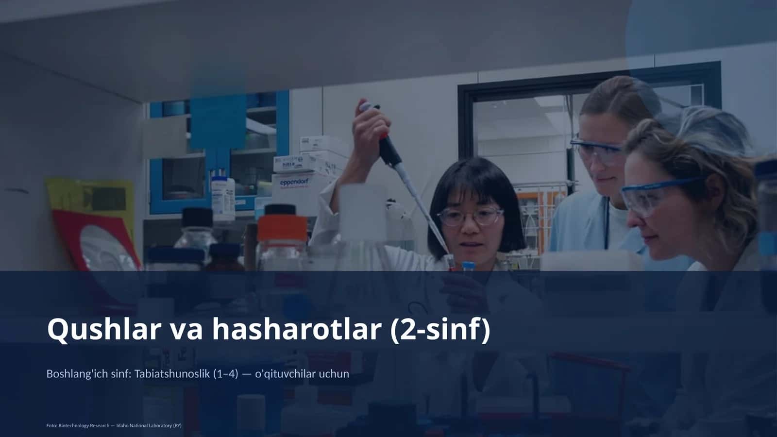 Qushlar va hasharotlar (2-sinf)