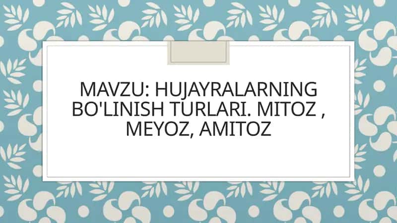 Hujayralarning bo'linish turlari. mitoz , meyoz, amitoz