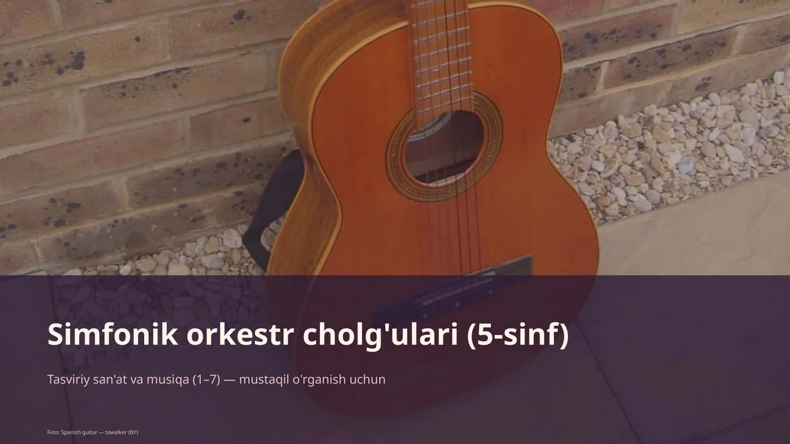 Simfonik orkestr cholg'ulari (5-sinf)