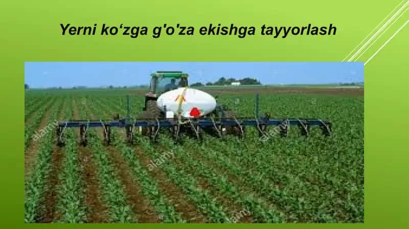 Yerni kuzga bug'doy va g'o'za ekishga tayyorlash