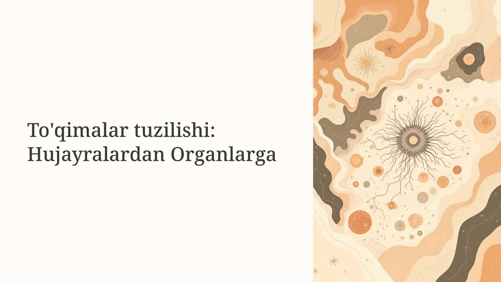 To'qimalar tuzilishi: Hujayralardan Organlarga