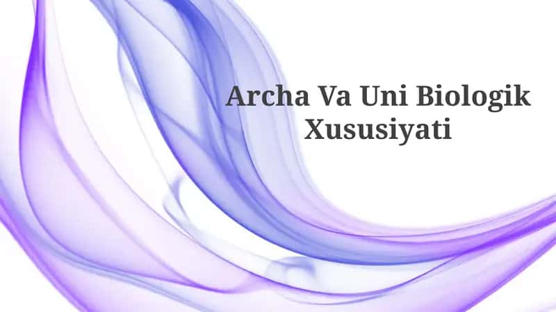 Archa Va Uni
