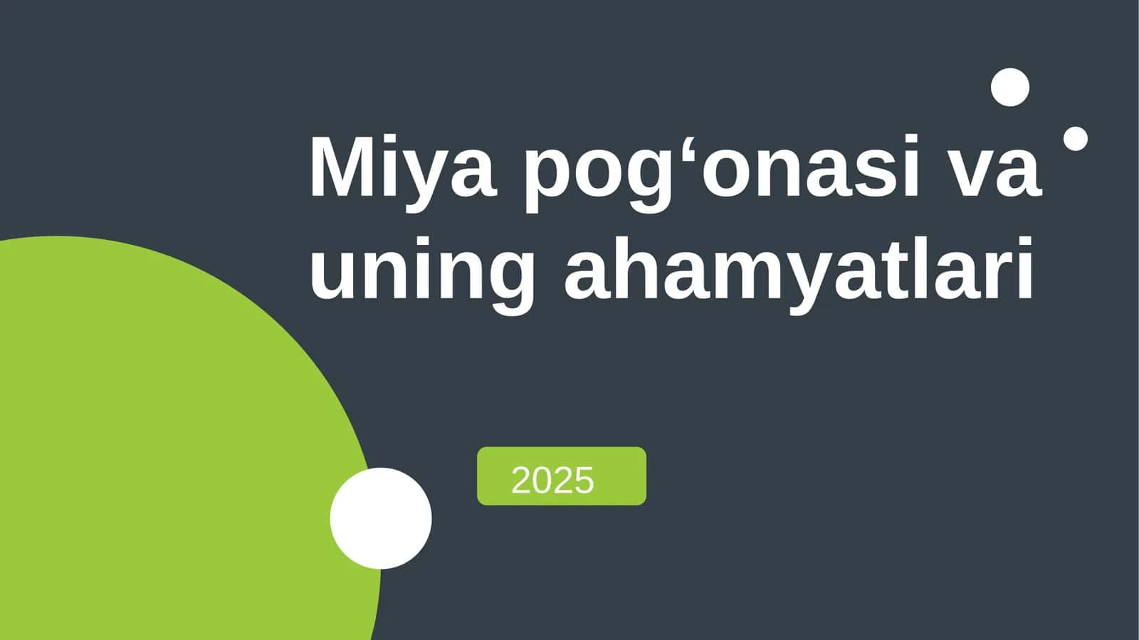 miya pogʻonasi anatomiyasi