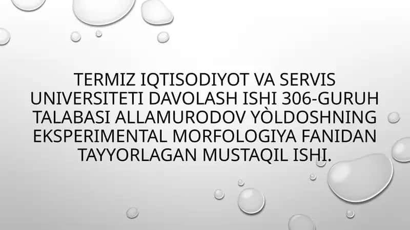 Eksperimental morfologiya