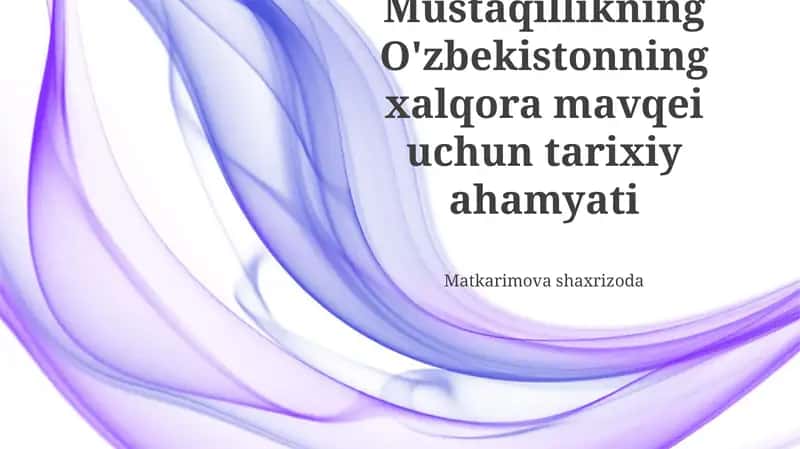 O‘zbekistonning Mustaqilligi: Xalqaro Maydondagi Dastlabki Qadamlar