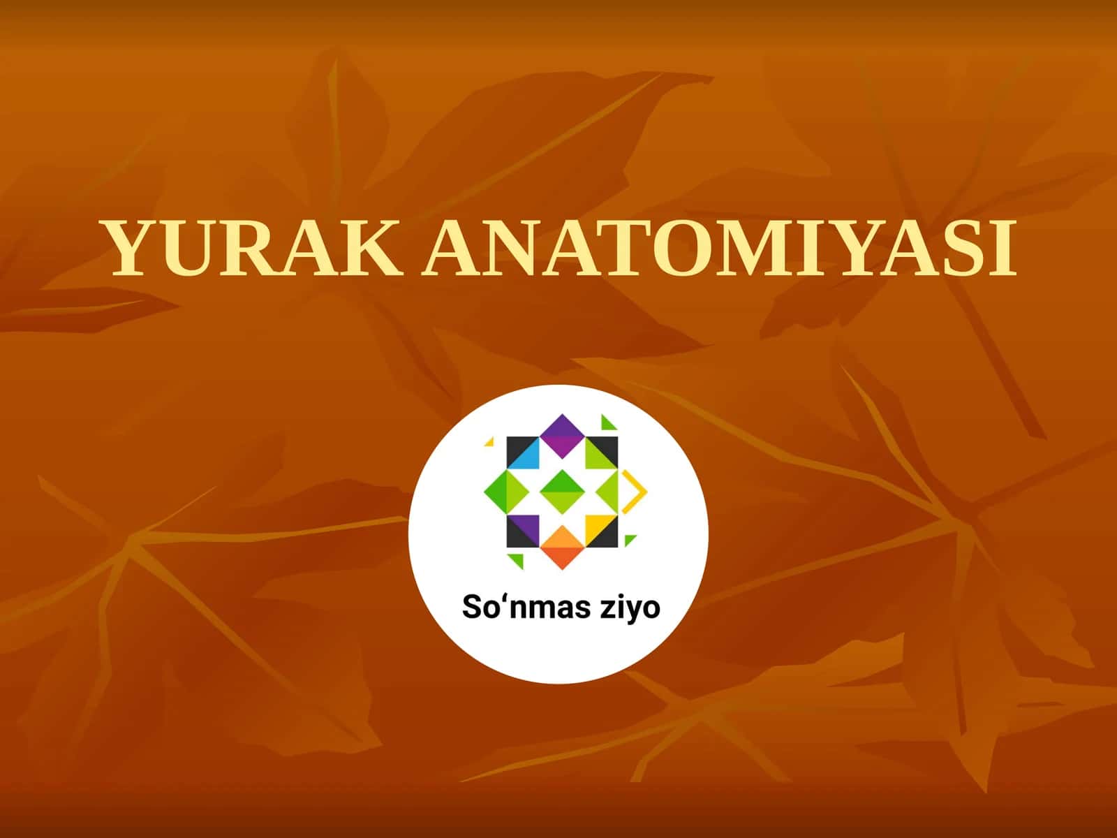 YURAK ANATOMIYASI