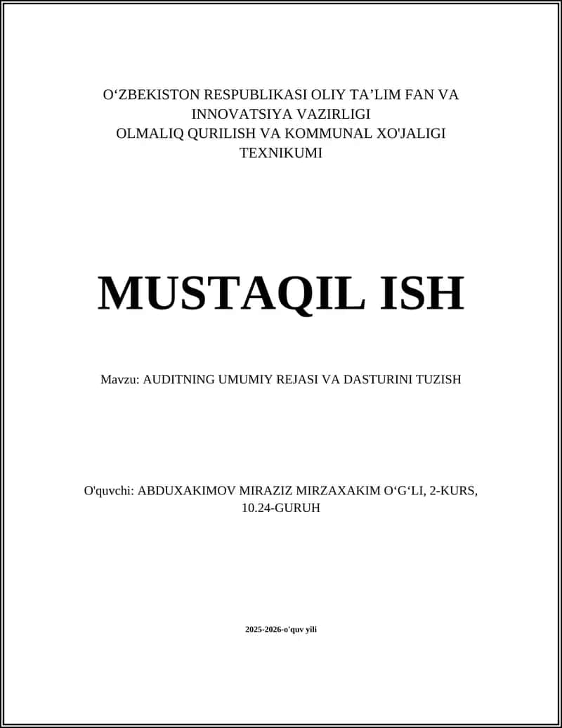 AUDITNING UMUMIY REJASI VA DASTURINI TUZISH