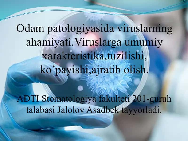 Odam patologiyasida viruslarning ahamiyati.Viruslarga umumiy xarakteristika,tuzilishi,ko’payishi,ajratib olish.