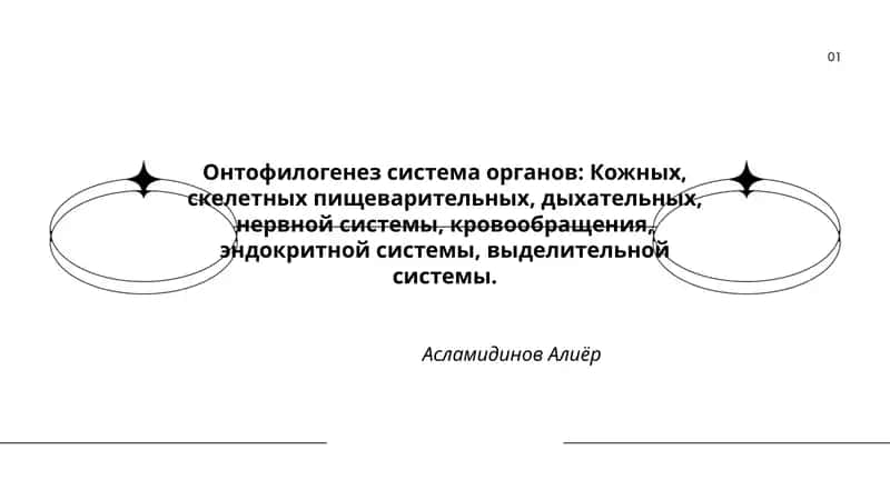 Онтофилогенез система органов