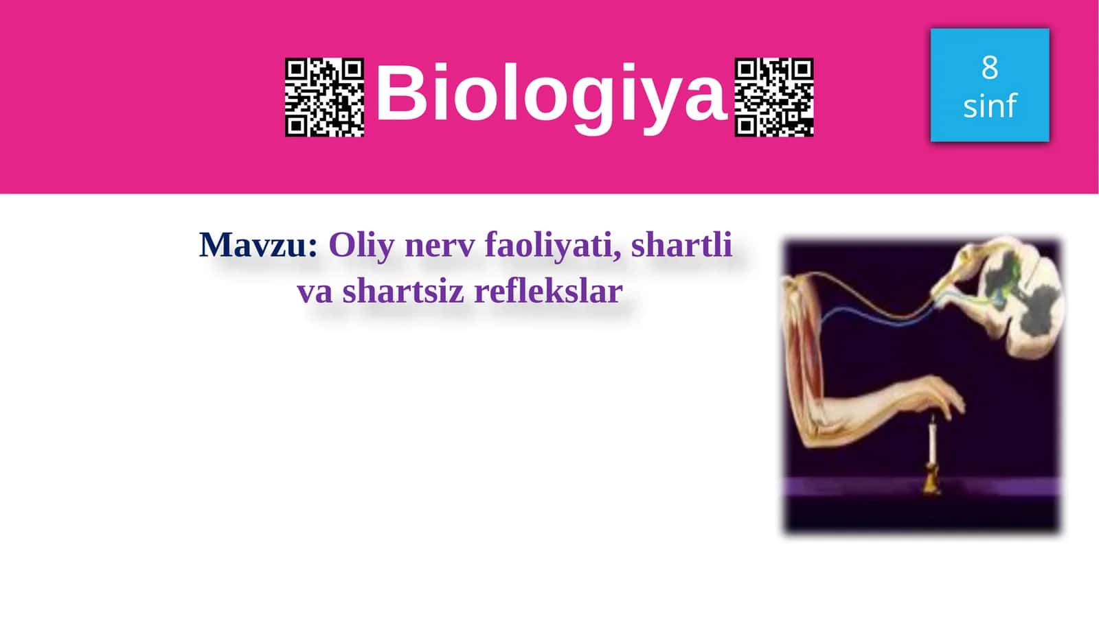 Oliy nerv faoliyati, shartli va shartsiz reflekslar