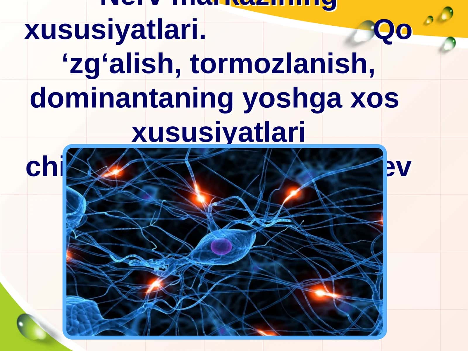 Nerv markazining xususiyatlari. Qo ‘zg‘alish, tormozlanish, dominantaning yoshga xos xususiyatlarichi
