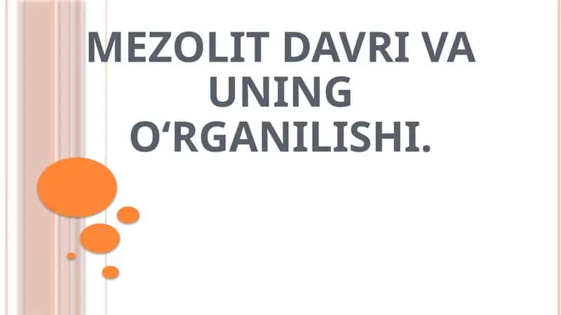 Mezolit davri va uningo‘rganilishi