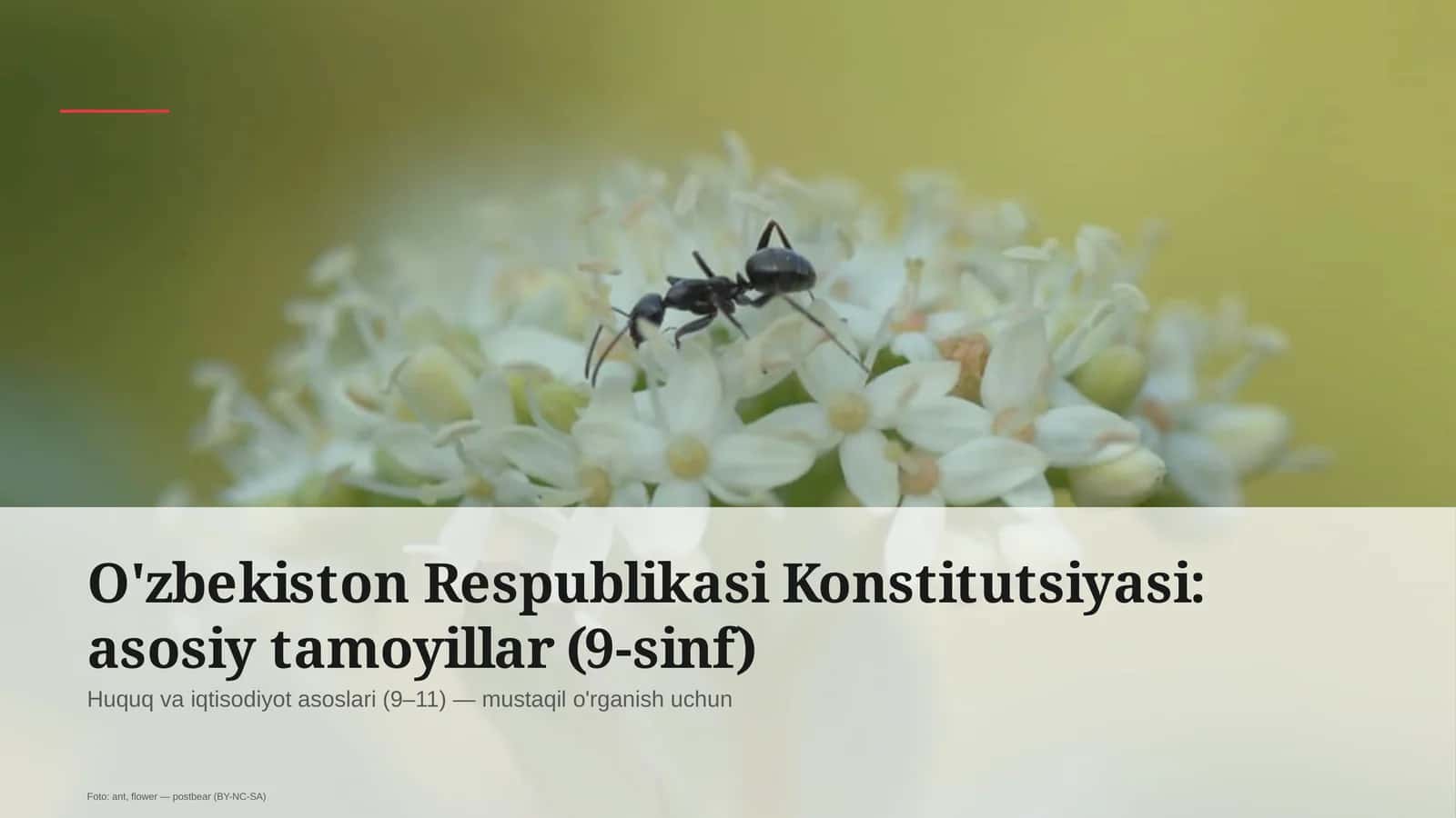 Huquq va iqtisodiyot asoslari (9–11)
