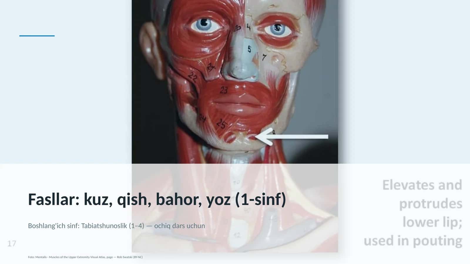 Tabiatshunoslik (1– 4) — ochiq dars uchun