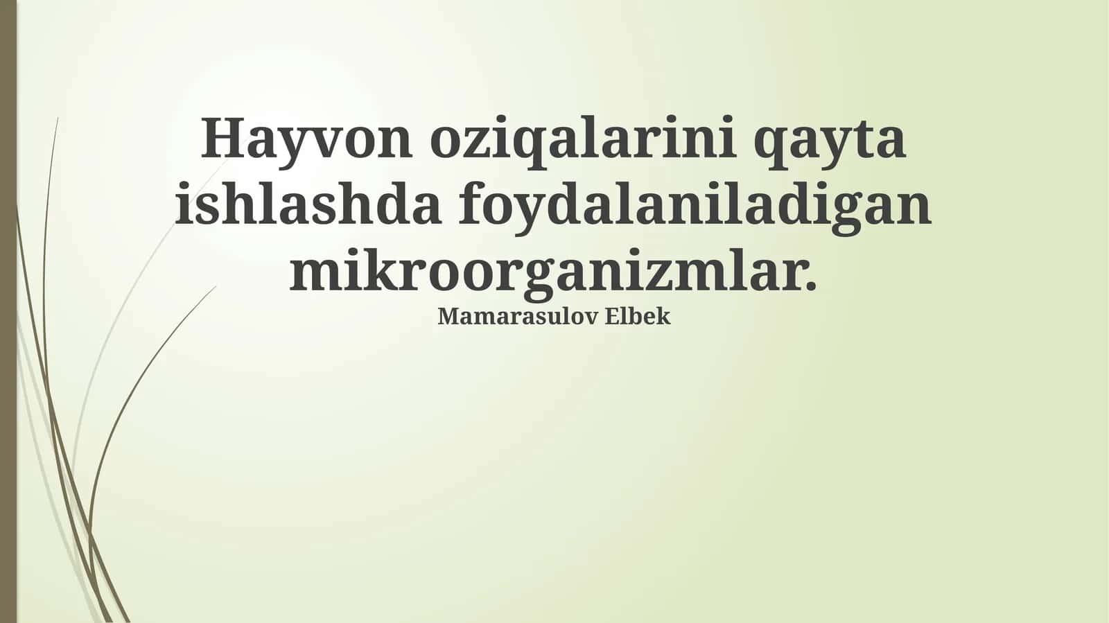 Hayvon oziqalarini qayta ishlashda foydalaniladigan mikroorganizmlar