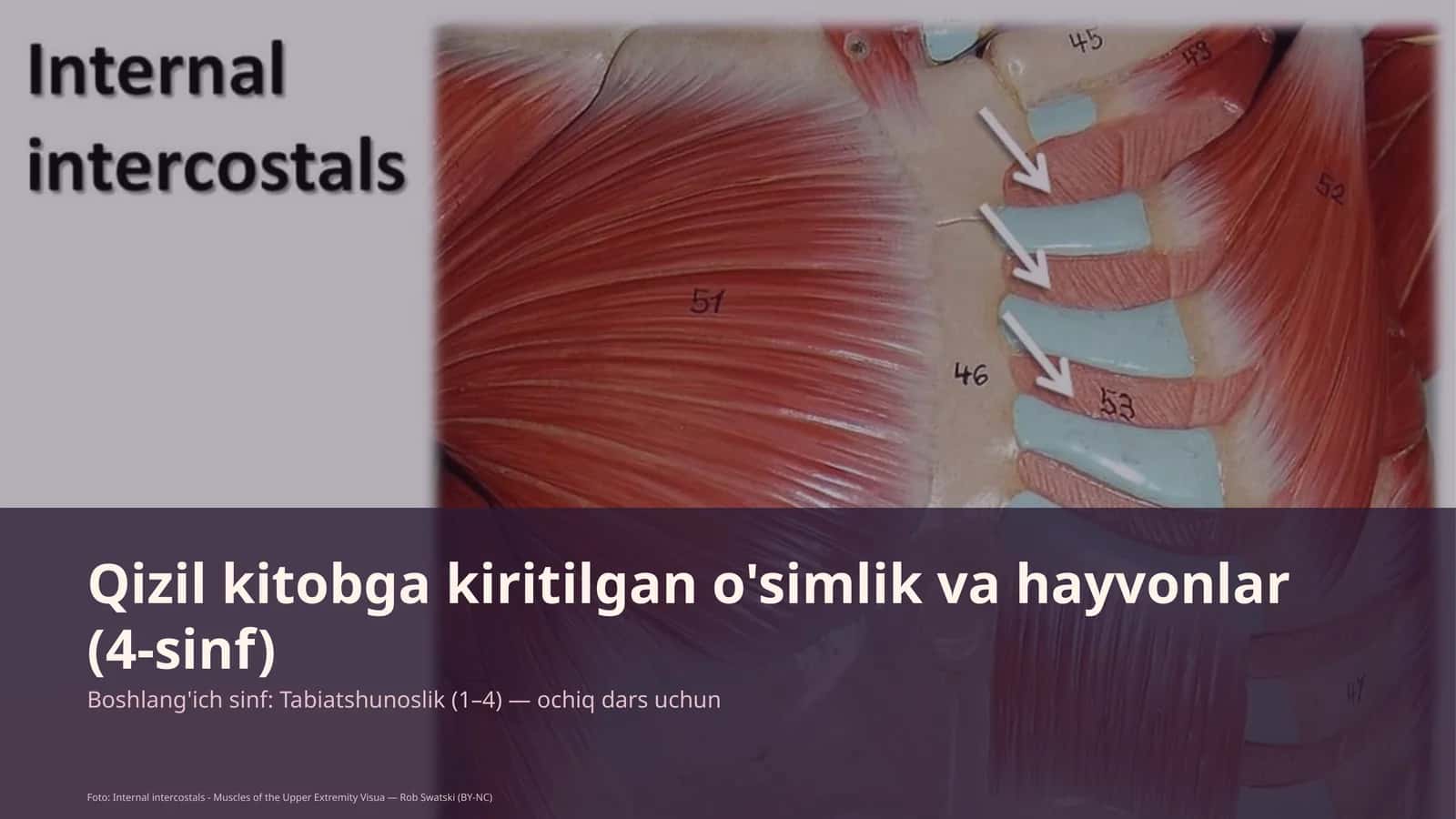Qizil kitobga kiritilgan o'simlik va hayvonlar (4-sinf)