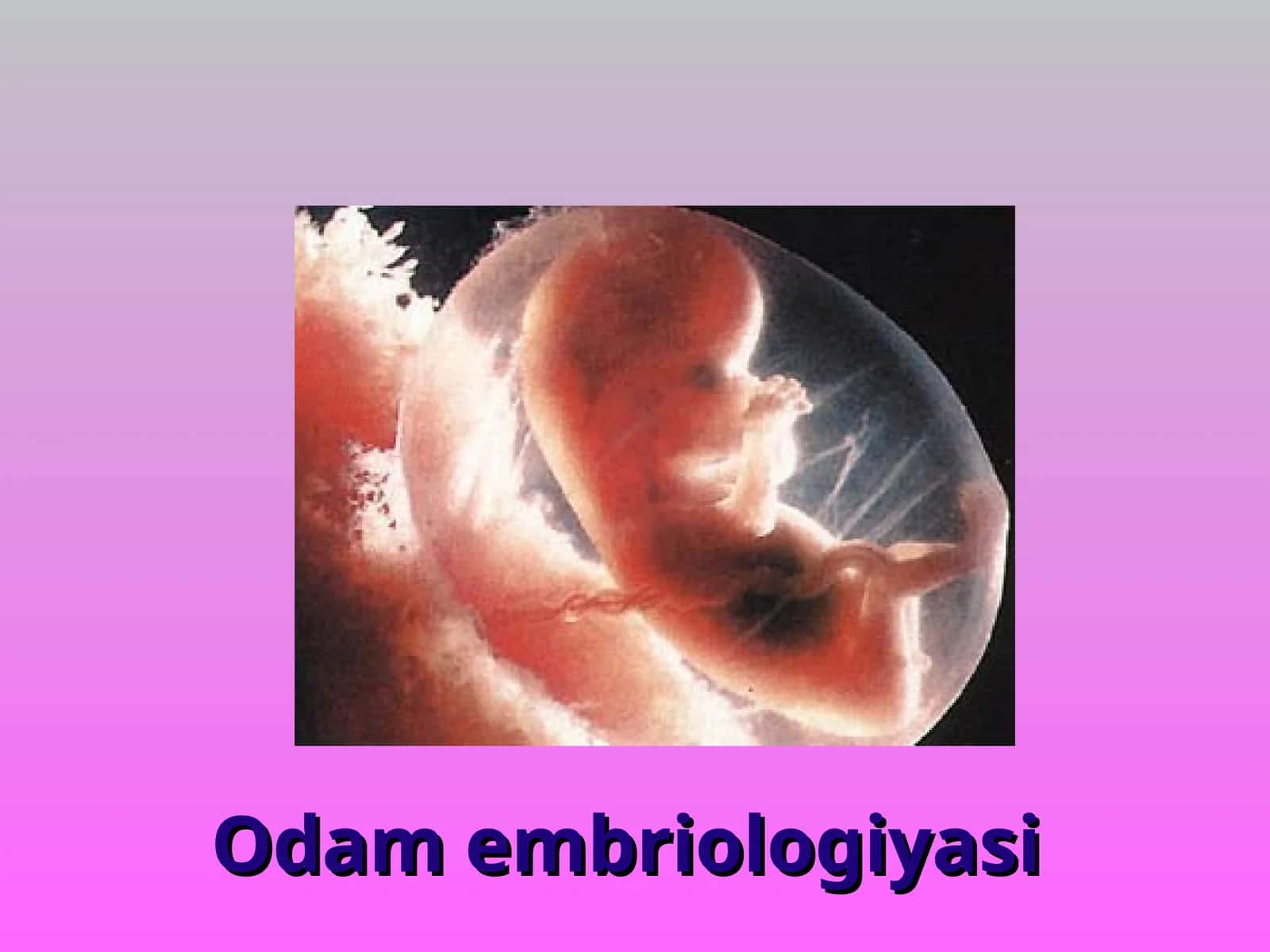 Odam embriologiyasi