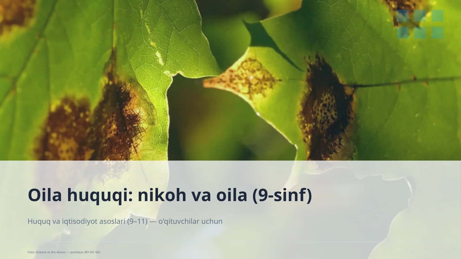Oilа huquqi: nikoh va oila (9-sinf)