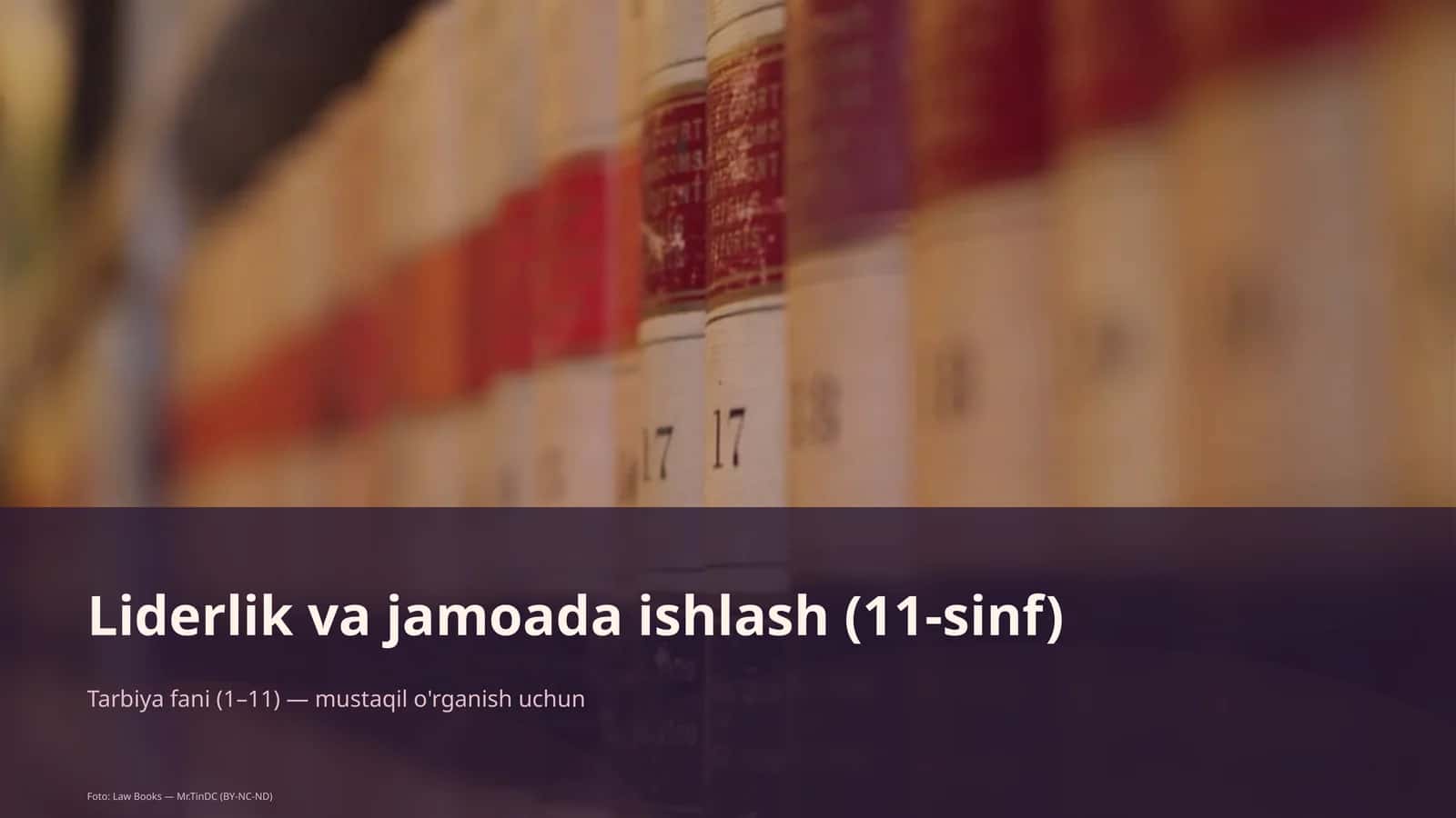 Liderlik va jamoada ishlash (11-sinf)