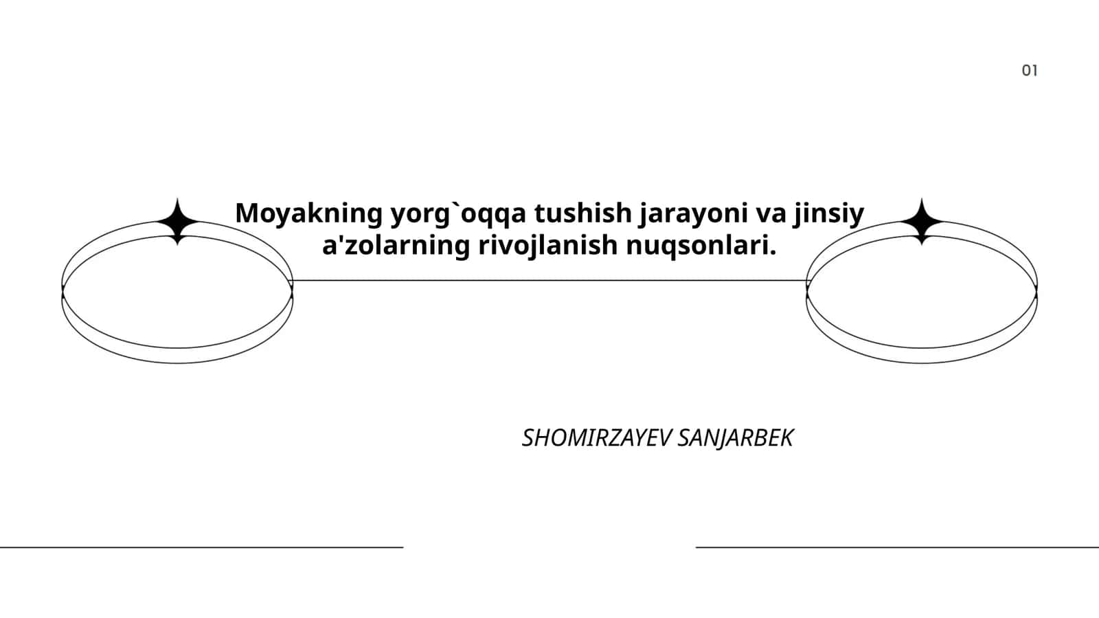 Moyakning yorg`oqqa tushish jarayoni va jinsiy a'zolarning rivojlanish nuqsonlari