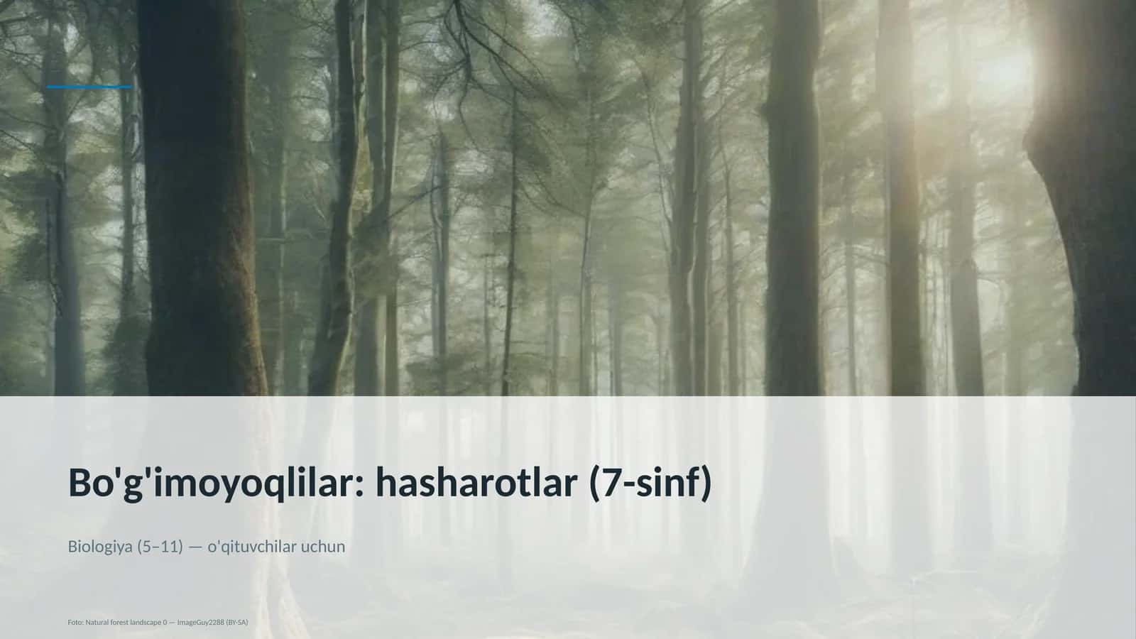 Bo'g'imoyoqlilar: hasharotlar (7-sinf)