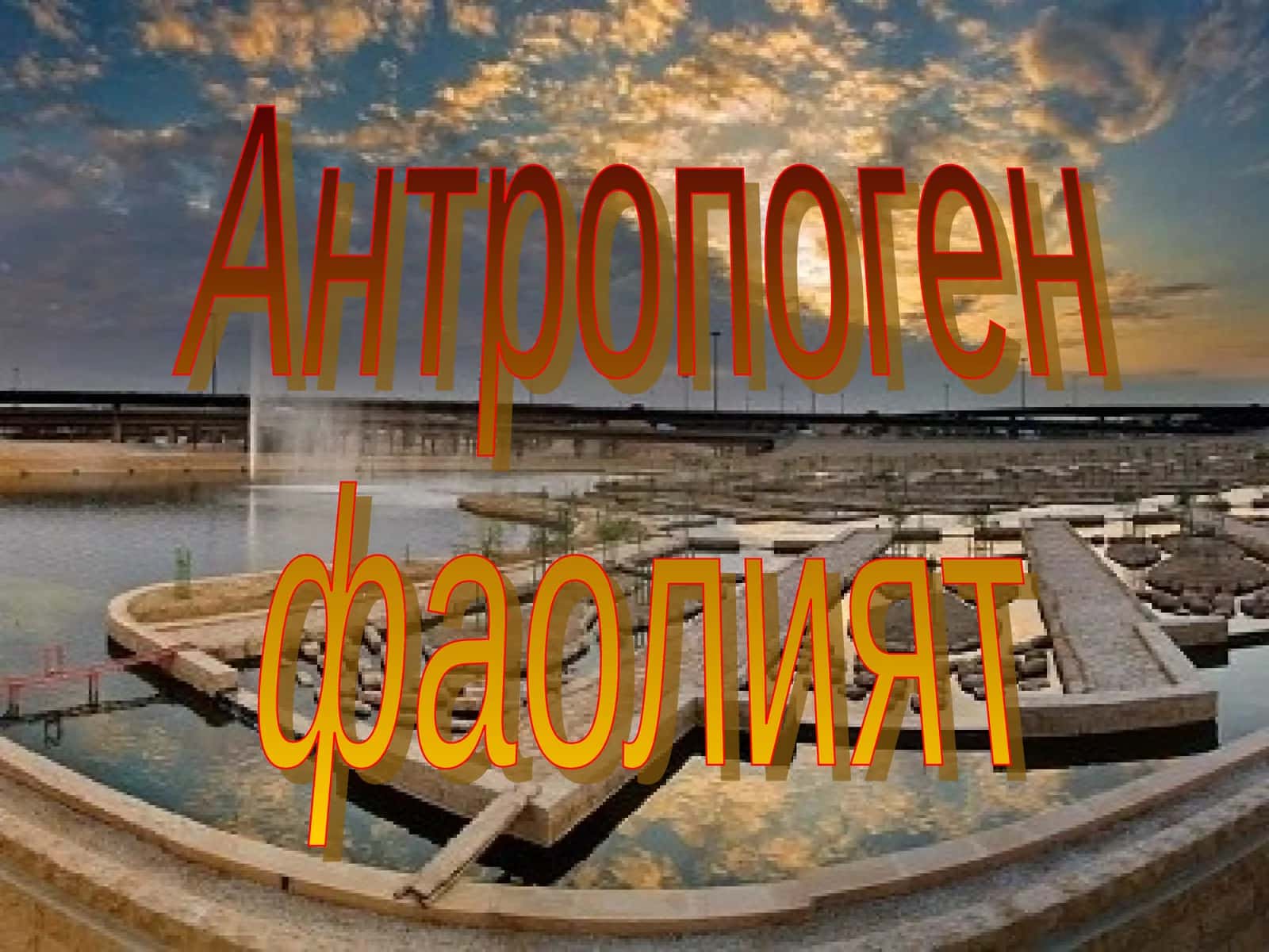 Тирик организмларининг хилма-хиллиги