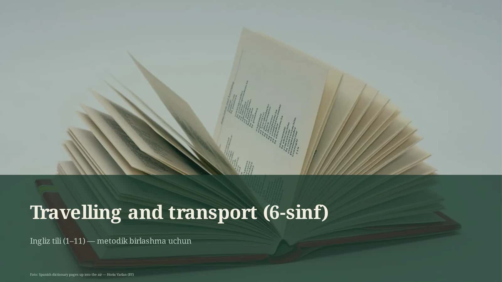 Travelling and transport (6-sinf)