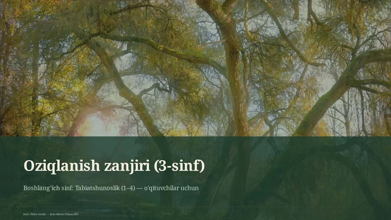 Oziqlanish zanjiri (3-sinf)