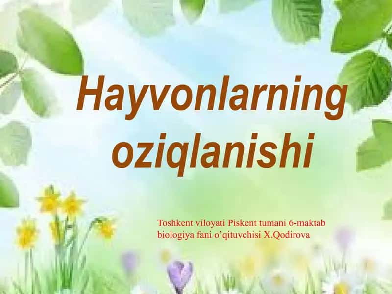 Hayotning Organizm Darajasi va Uning O‘ziga Xos Jihatlari