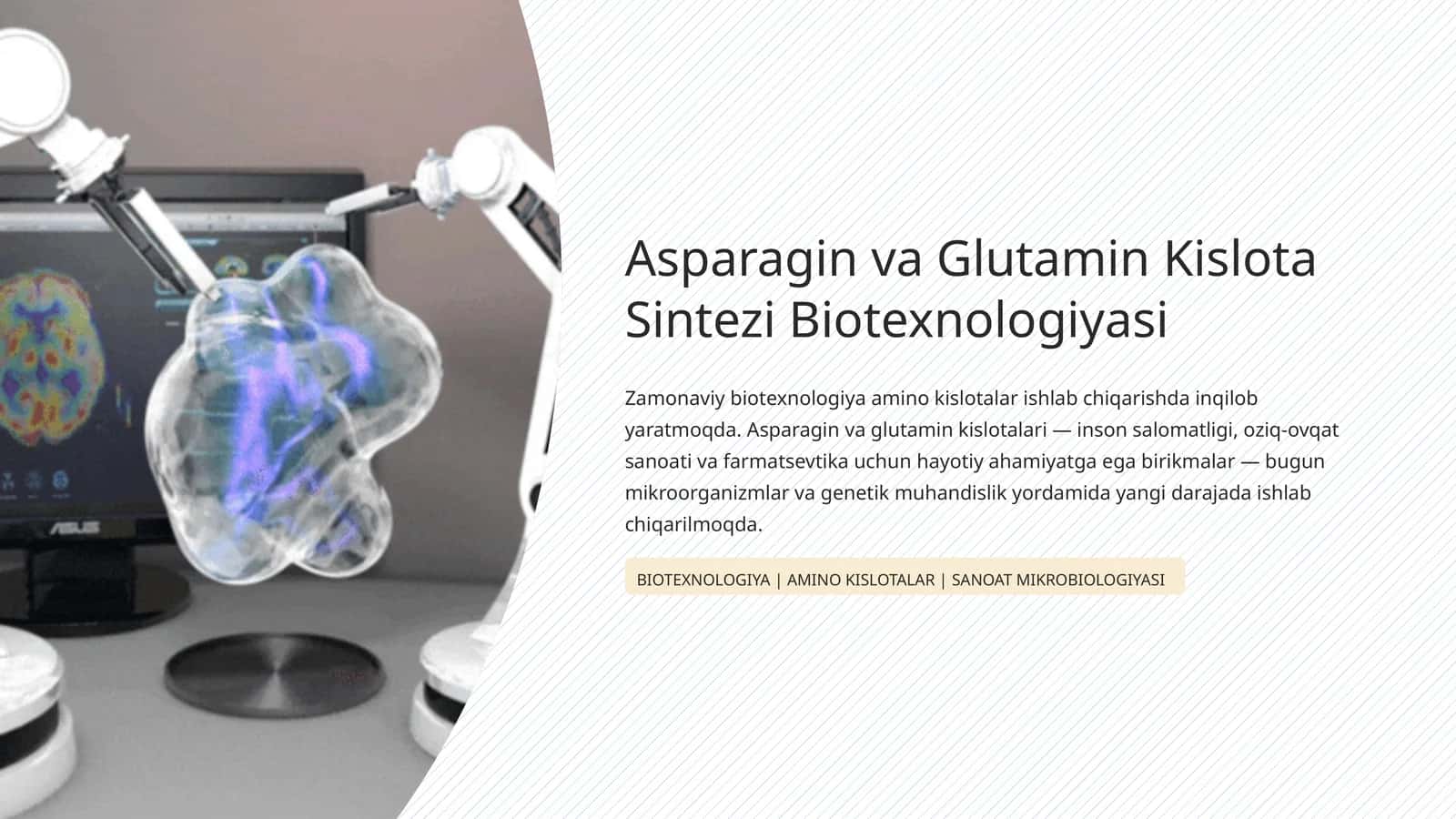 Asparagin va Glutamin Kislota Sintezi Biotexnologiyasi