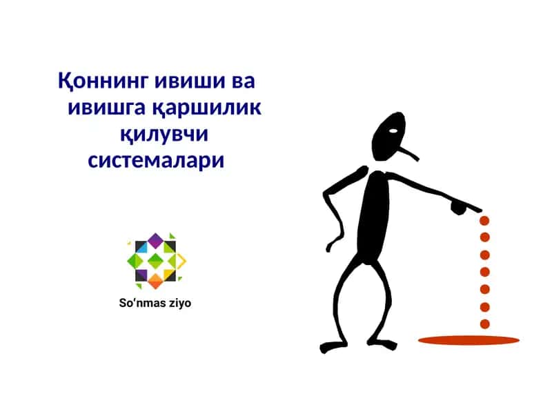 Қоннинг ивиши ва ивишга қаршилик қилувчи системалари