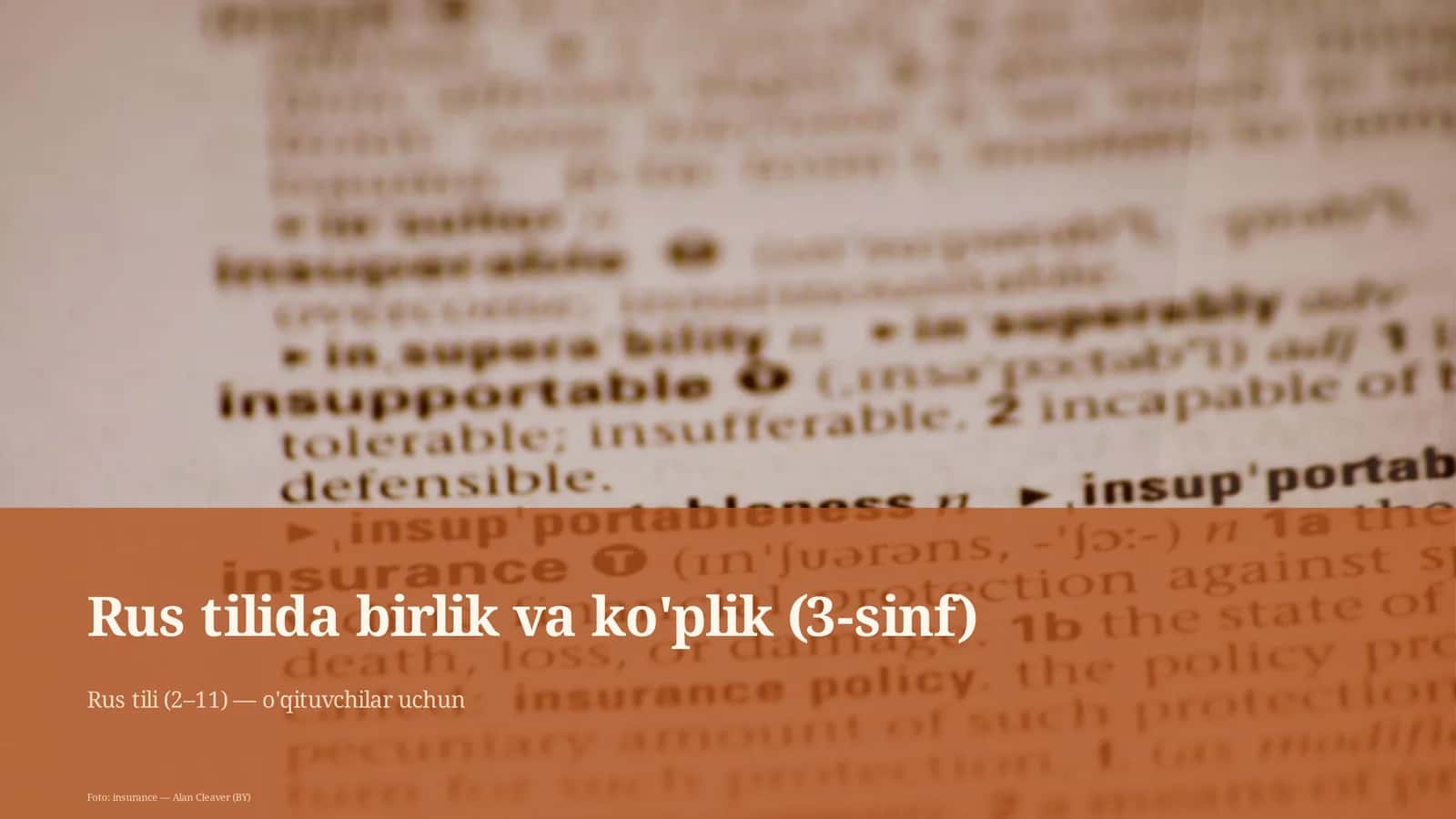 Rus tilida birlik va ko'plik (3-sinf)
