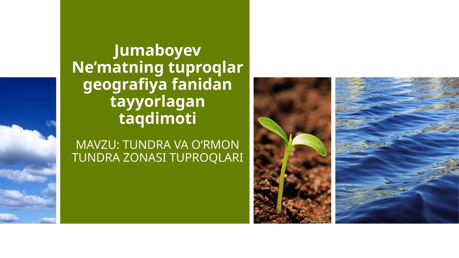TUNDRA VA OʻRMONTUNDRA ZONASI TUPROQLARI