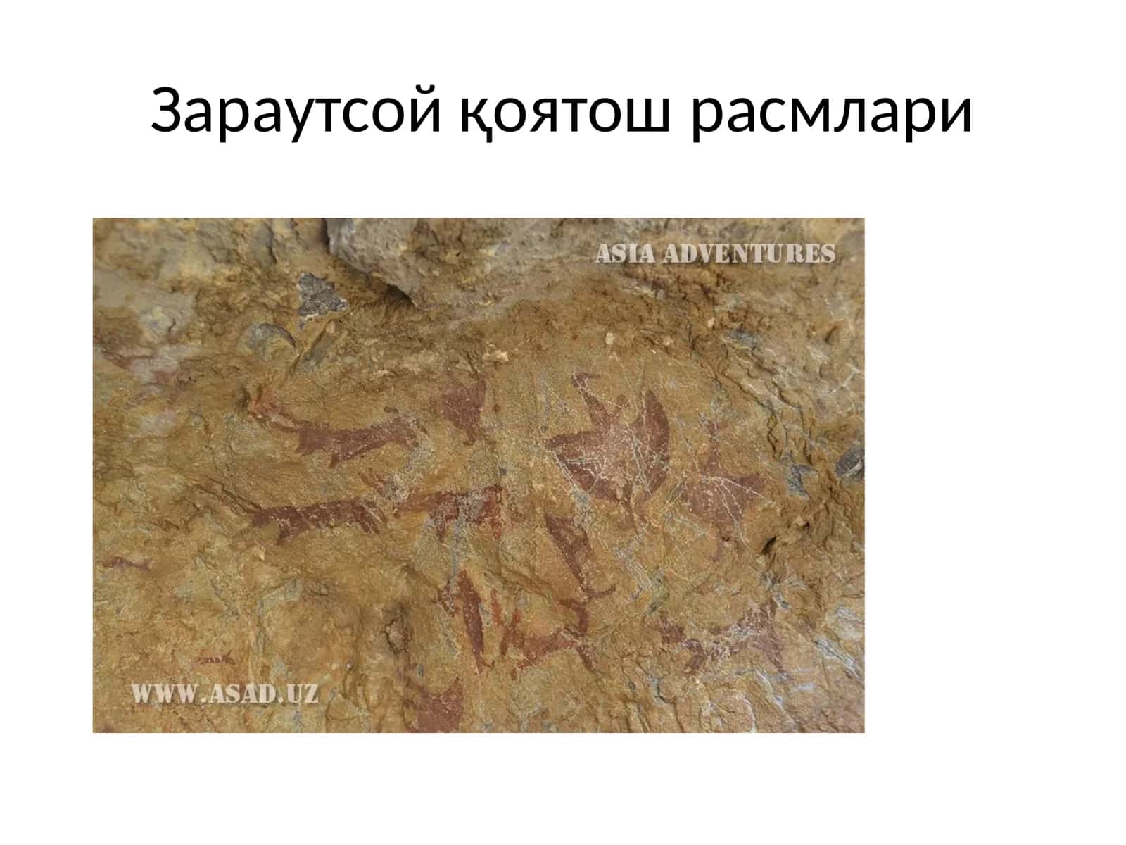 Зараутсой қоятош расмлари